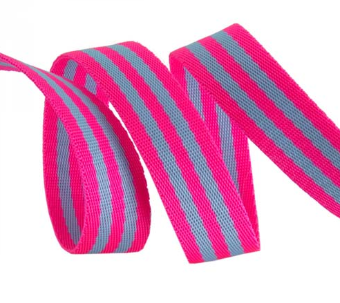 Tula Pink Webbing - Aqua and Hot Pink