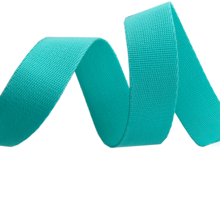 Tula Pink Webbing